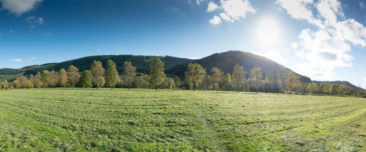 Ferienwohnung Saalhausen Sauerland 레네슈타트 외부 사진
